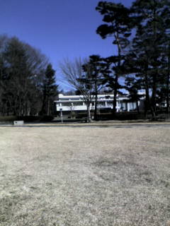 20070226141731.jpg